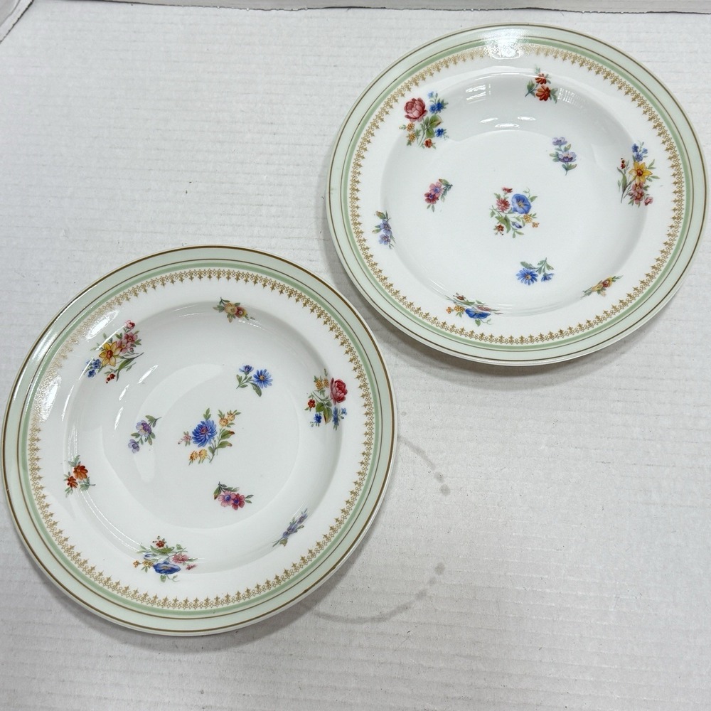 2 Charles Ahrenfeldt Limoges Soup Bowls Rimmed Plates France Flowers Wild Purple